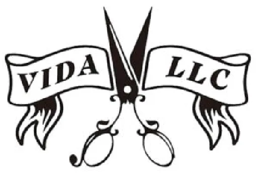 GSA-Sponsor01_VIDA_web